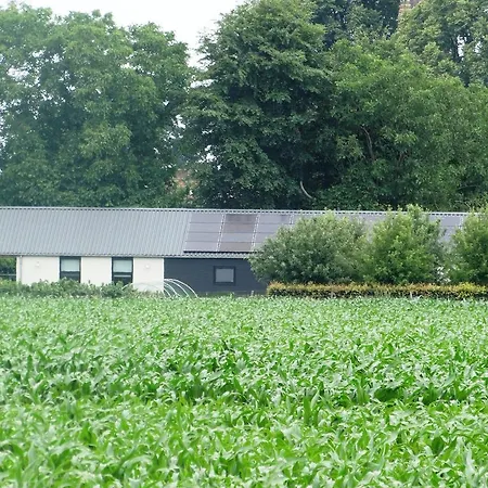 Liefkeshoek