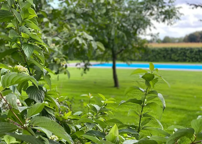 Liefkeshoek Holiday home *